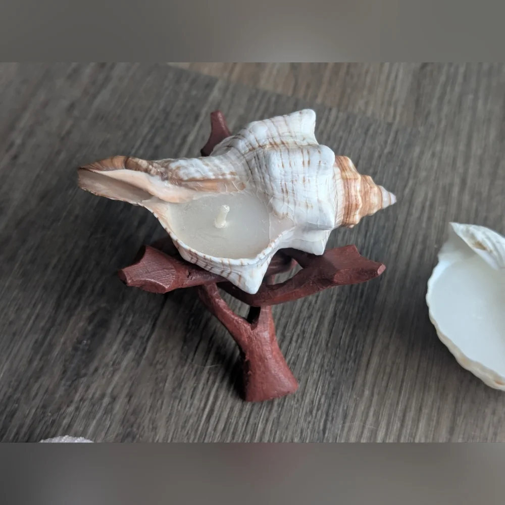 Candles Coastal Shell Set (2), Scallop Shell, Sea Urchins & Wooden Stand - Picture 4 of 7